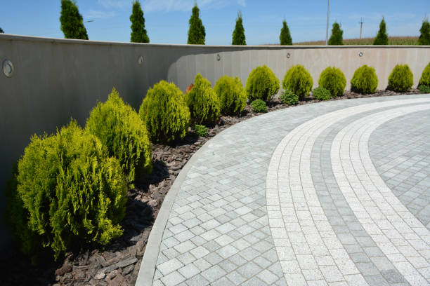 Best Driveway Paving Contractor  in Richmond, KY